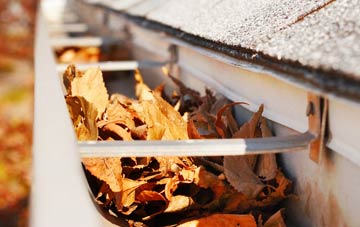 Elmbridge gutter cleaning companies